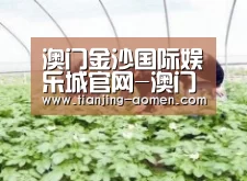 种植基地三